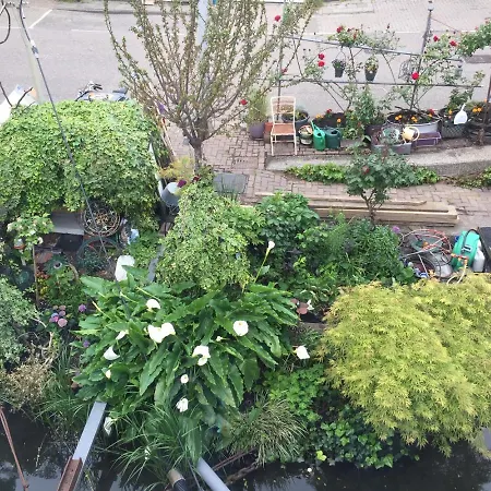 Reiwa Oda ve Kahvaltı Amsterdam