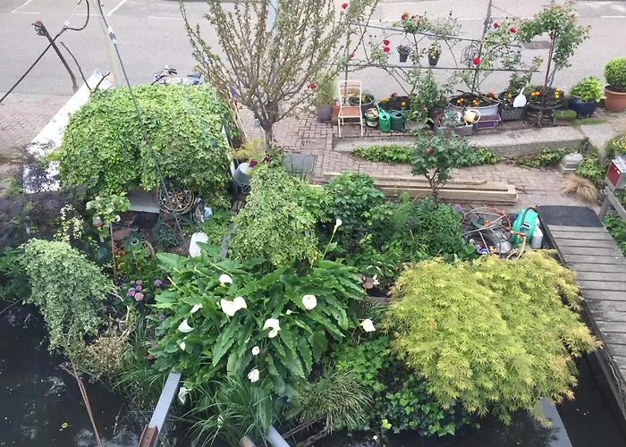 Reiwa Oda ve Kahvaltı Amsterdam