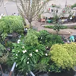 Reiwa Bed & Breakfast Amsterdam